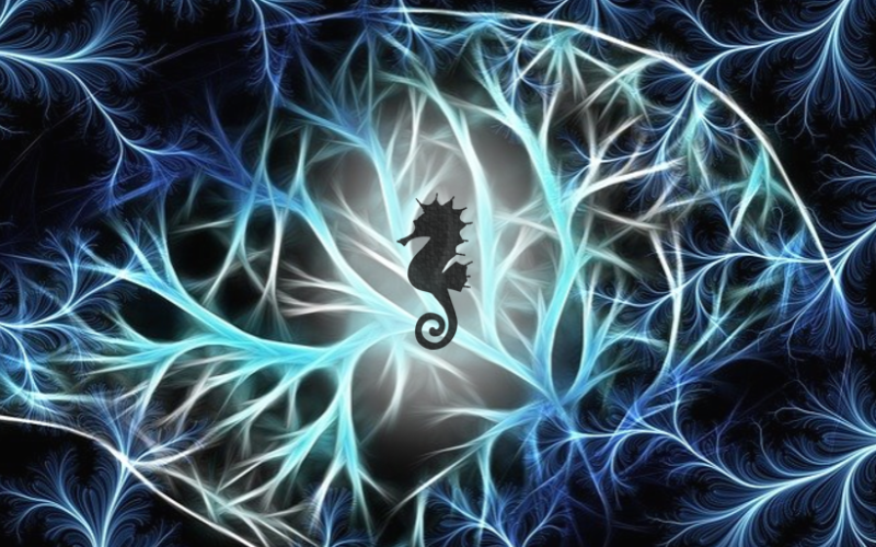 Ready, set, go! Warum wir ein Seepferdchen zum Schwitzen bringen sollten Ready, set, go! Warum wir ein Seepferdchen zum Schwitzen bringen sollten